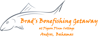 BBG logo
