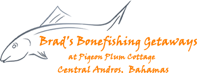 BBG logo